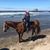 Cindy Scott's profile image