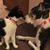 Bob N Stacie Doman's profile image
