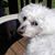 Sue Barker's profile image