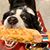 Kevin B Grier's profile image