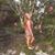 Kayla Fromm's profile image