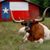 Tim Holland's profile image