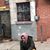 Noah Buck's profile image