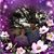 Rachel Cordle's profile image