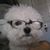 Ray A Menendez Jr.'s profile image