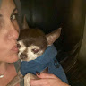 kelly f.'s profile image