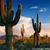 Sheri Smith Phillips's profile image