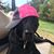 Krista Cilfone's profile image