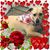 Mary Kaye Mott's profile image