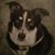 Pam Donovan's profile image
