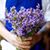 Dzermin Mesic's profile image