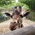 Mary Jane Goodwin's profile image