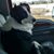 Debbie Holt Lewis's profile image