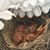 Barbie Miller Davis's profile image