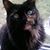 Claire Maeri DaBelko's profile image