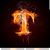 Tracey D Rodenberger's profile image