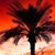 Michael Nyswonger's profile image