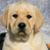 Sharyl Oliver-Barnes's profile image