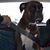 Bobbie Price Opolski's profile image