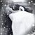 Jennifer Celaya's profile image