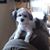 Angie Kelly Collins's profile image