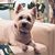 Hazel Giannoulis's profile image