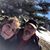 Anne Mondoux Shaw's profile image