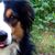 Roo TheAussie Twist's profile image