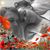 Sam Pattison-White's profile image