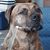 Brenda Wymer's profile image