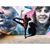 Ashley Shotwell's profile image