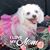 Lois Maloney's profile image