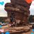 Sandy Brown's profile image