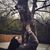 Amber Hayes's profile image