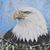 Larry G. Ciancio's profile image