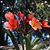 Connie DeVasto's profile image
