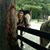 Melinda Becker's profile image