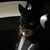 Gary Stinson's profile image