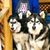 Kimberly Jo Schnell's profile image
