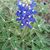 Deborah Tighe's profile image
