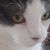 Marlene Picman's profile image