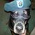 Mike Carter's profile image