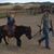 Adam Dorrington's profile image