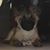 Michael Mones's profile image