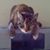 Rhonnie Kolasa's profile image