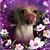 Wendy Sue Stodder's profile image