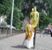 Jelena Jill Mijanovic's profile image