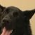 Alana Rssco's profile image