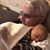Richard See's profile image