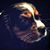 Silvin Schandl's profile image